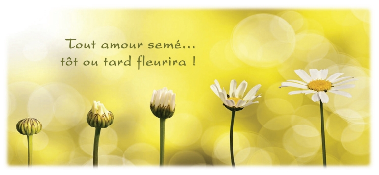 carte-parole-tout-amour-seme-fleur