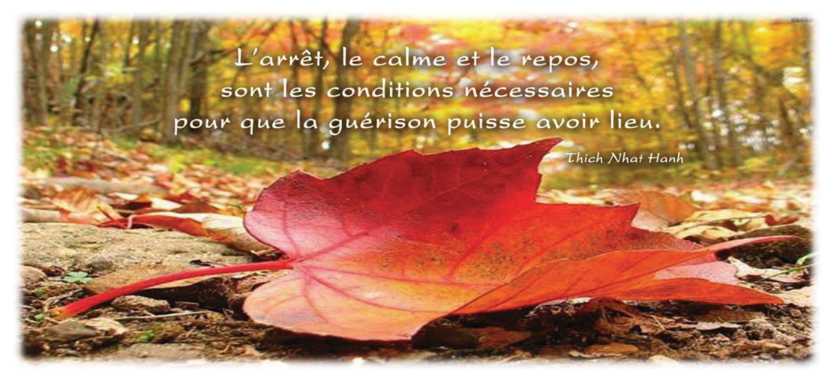 Carte-parole-arret-calme-repos-