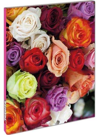 Blank Book - Roses