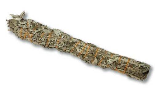 Sauge des Prairies - baguette