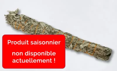 Sauge des Prairies - baguette