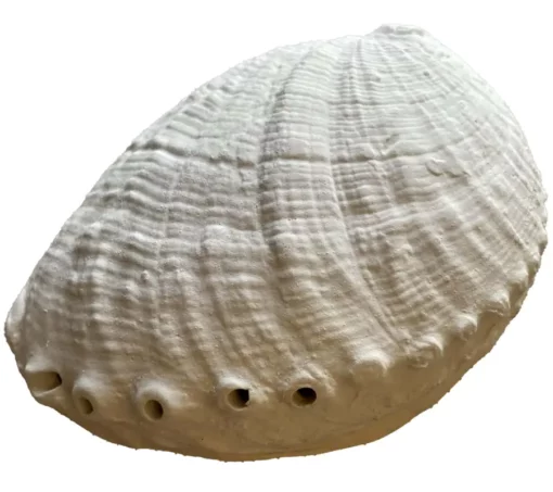 Brûleur d'encens - coquille d'argile – Image 2