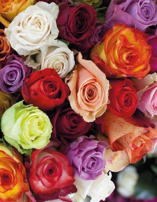 Blank Book - Roses – Image 2
