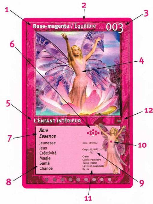 Coffret Oracle des Couleurs de Pierre Van Obberghen – Image 2