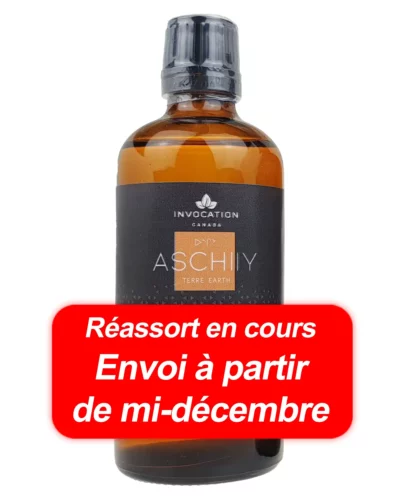 Recharge 100ml - ASCHIIY - Terre