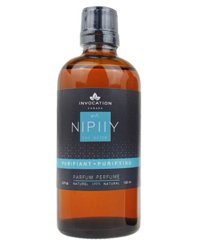 Recharge 100ml - NIPIIY - Eau