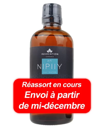Recharge 100ml - NIPIIY - Eau