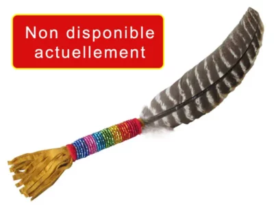 Plume avec perlage arc-en-ciel<br>pour la fumigation<br>plume d'aile de Dindon