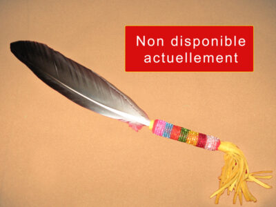 Plume avec perlage arc-en-ciel<br>pour la fumigation<br>plume d'Oie Sauvage