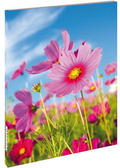 Blank Book - Cosmos Flower