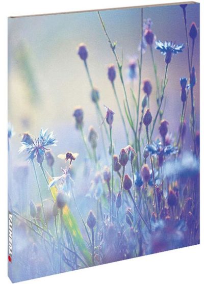 Blank Book - Summer Meadow