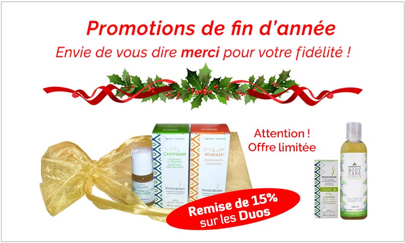 🎁 Promotions de fin d’année 🎄