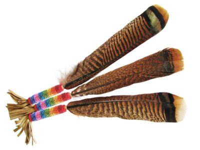 Plume avec perlage arc-en-ciel<br>pour la fumigation<br>plume de queue de Dindon