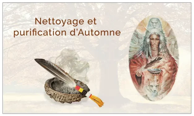 🍁Nettoyage et purification d’Automne