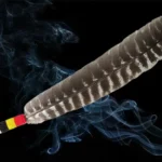 A NOUVEAU – PLUME DE FUMIGATION